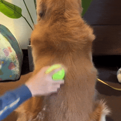 Purrfect Comb™ – De slimme manier om losse haren moeiteloos te verwijderen